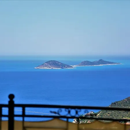 Baynur Kalkan