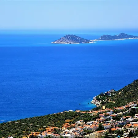 Baynur *